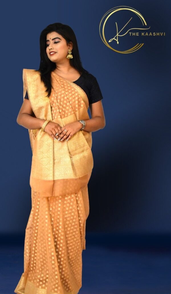 Beige Golden Cora Buttiwork Banarasi Saree - Image 6